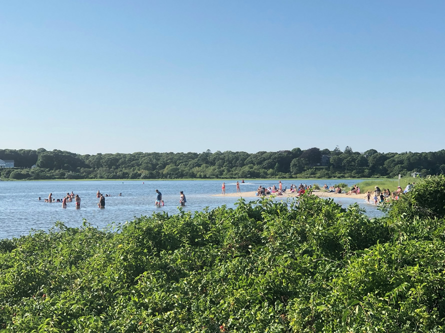 beaches-ponds-osterville-ma